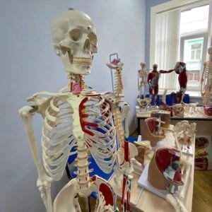 Kharkiv Institute of Medicine and Biomedical Sciences – photo 7
